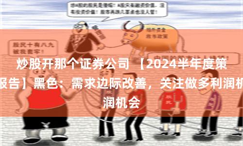 杠杆与风险共舞：《股票杠杆网》的运作逻辑与市场启示录